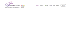Desktop Screenshot of campaigngo.com